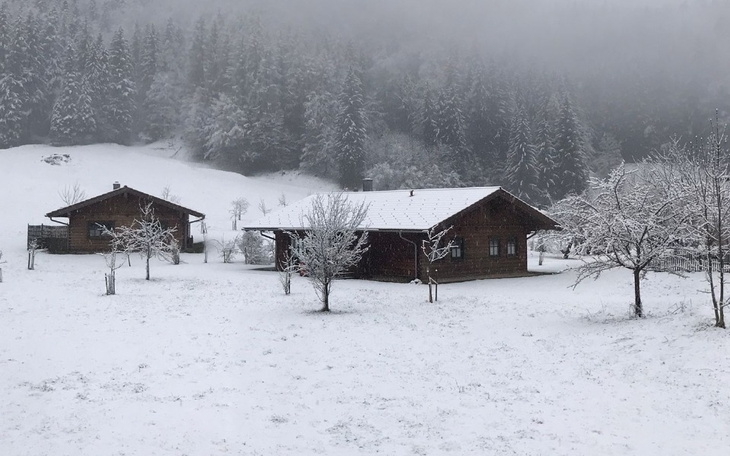 Zbiórka Próbuje zacząć od nowa - zdjęcie główne