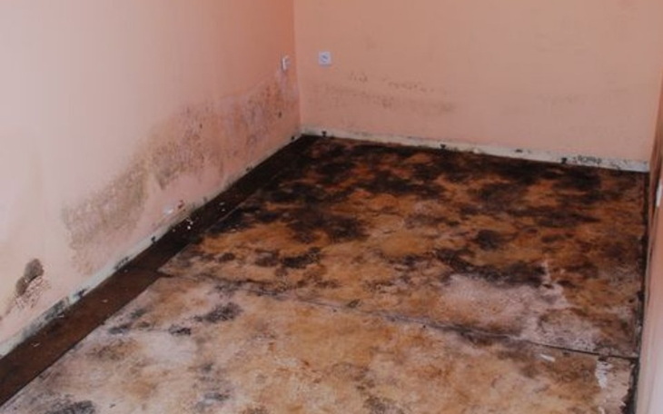 Zbiórka Na moje zalane Mieszkanie - zdjęcie główne