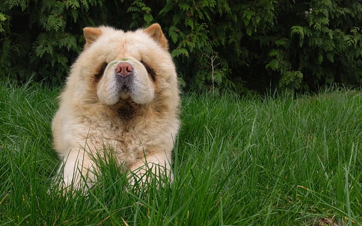 Zbiórka Na leczenie Maykiego - zdjęcie główne