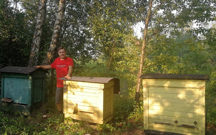 Zbiórka Na zakup pszczół do pasieki - zdjęcie główne