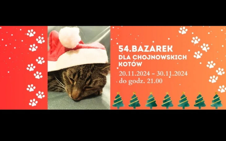 Plakat bazarku dla chojnowskich kotów z datami wydarzenia.