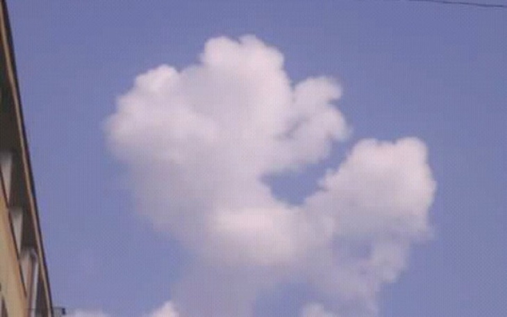 Zbiórka Działka z domkiem - zdjęcie główne