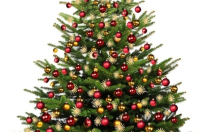 Zbiórka Na zakup choinki i ozdób - zdjęcie główne