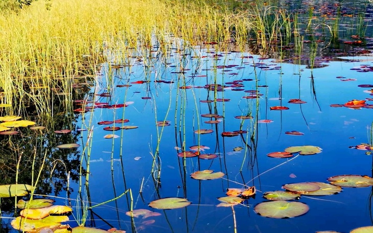 Zbiórka na jedzenie i meble - zdjęcie główne