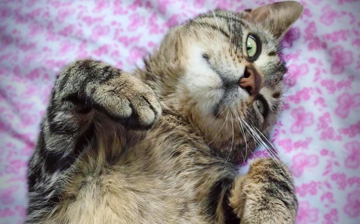 Zbiórka I zostań z nami.. - zdjęcie główne