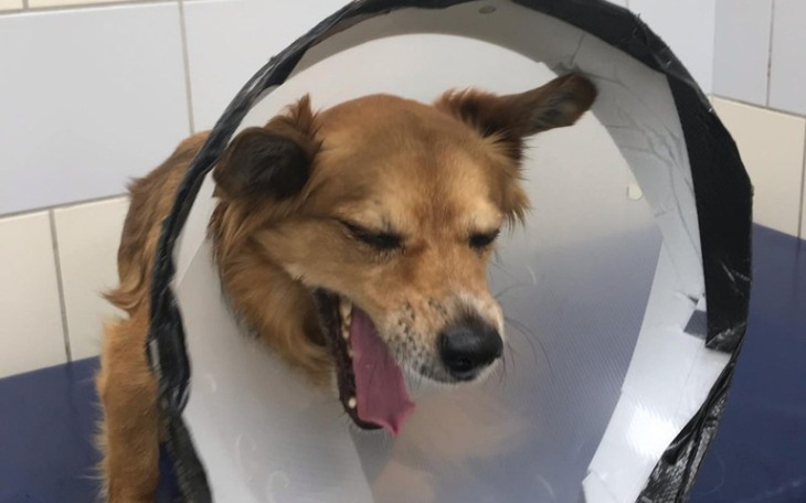 Zbiórka Chora dupka Rafiego - zdjęcie główne