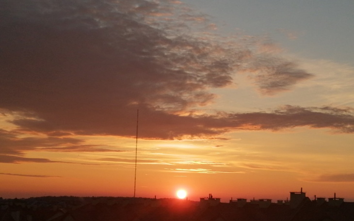 Zbiórka Karma dla starszego psiaka - zdjęcie główne