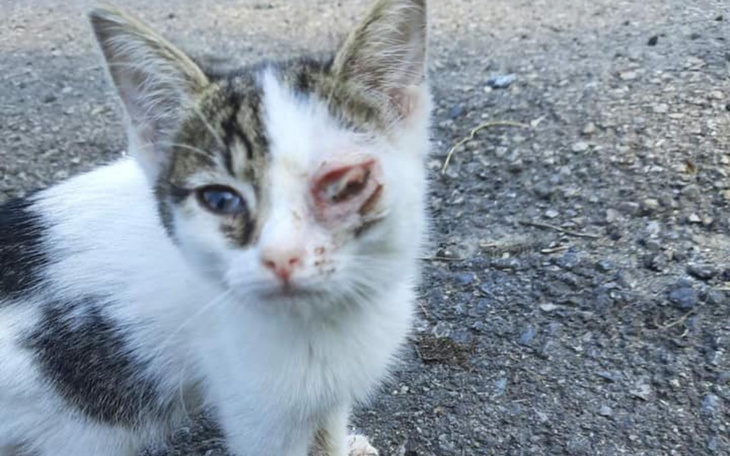 Zbiórka Bożenka - zdjęcie główne