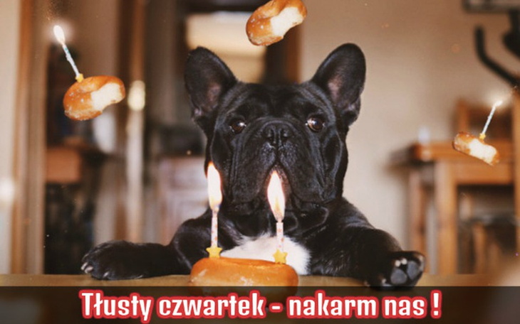 Zbiórka Tłusty czwartek - nakarm nas ! - zdjęcie główne