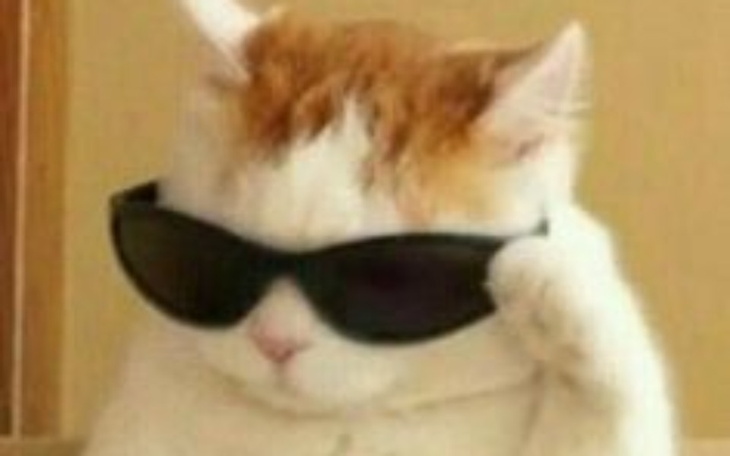 Zbiórka zrzuta - zdjęcie główne