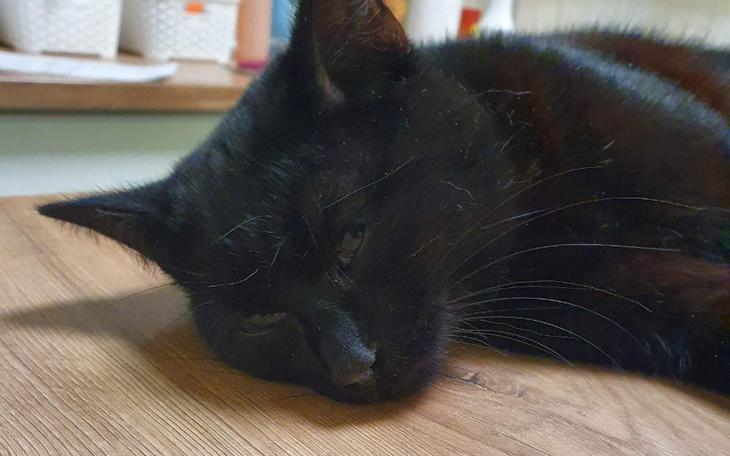 Zbiórka Dramat Mini - zdjęcie główne