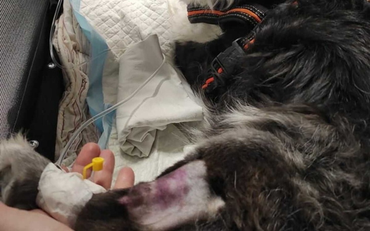 Zbiórka 444444444444444 - zdjęcie główne