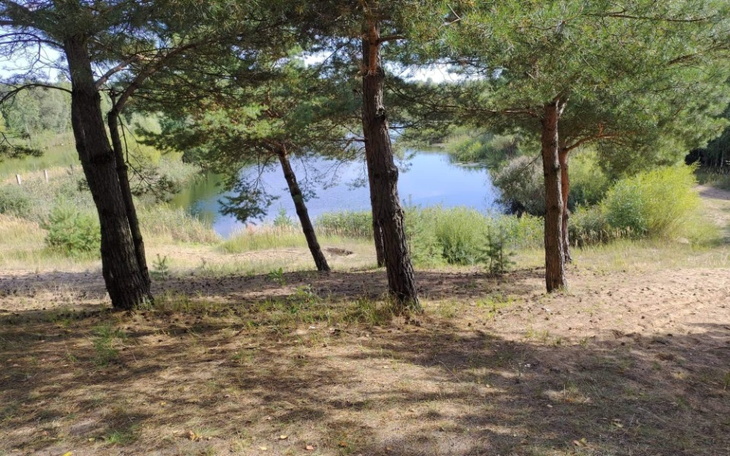 Zbiórka Wyprowadzka i ułożyć sobie życie - zdjęcie główne