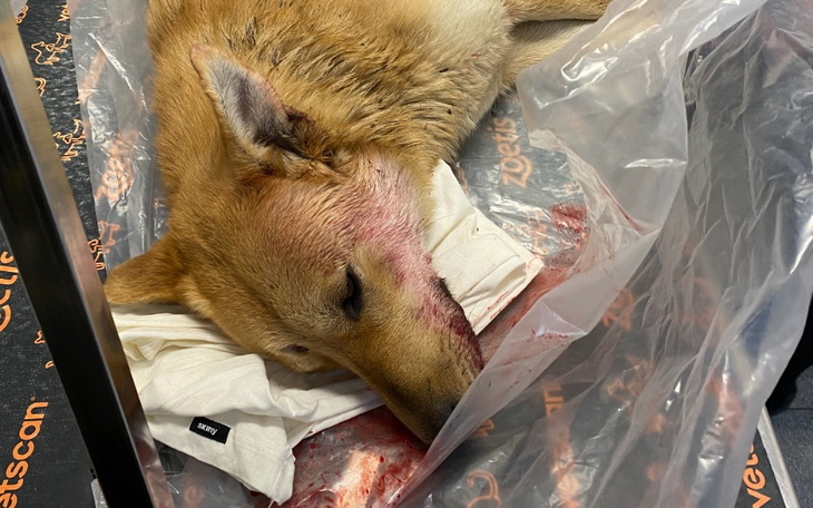 Zbiórka Nikt mnie nie widział - zdjęcie główne