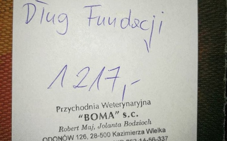 Zbiórka Mamy 8 DNI na spłatę długu - zdjęcie główne