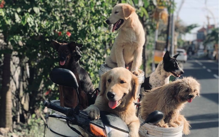 Zbiórka Więcej Miłości - zdjęcie główne