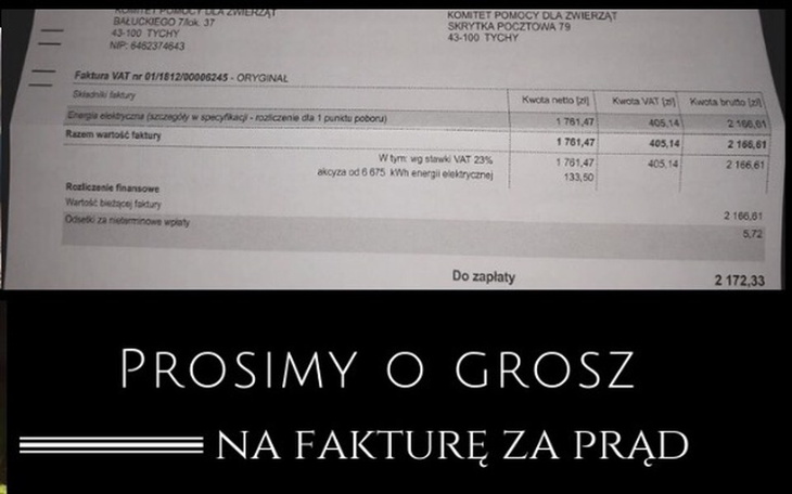 Zbiórka Kolejna duża faktura za prąd... - zdjęcie główne
