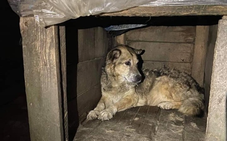 Zbiórka Skrajnie zaniedbana Masza - zdjęcie główne