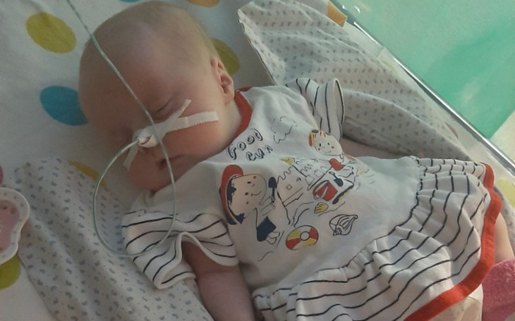 Zbiórka Rehabilitacja dla Lilusi - zdjęcie główne