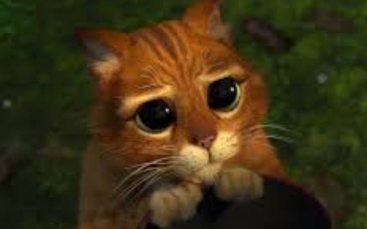 Zbiórka Wymażony, nowy komputer - zdjęcie główne