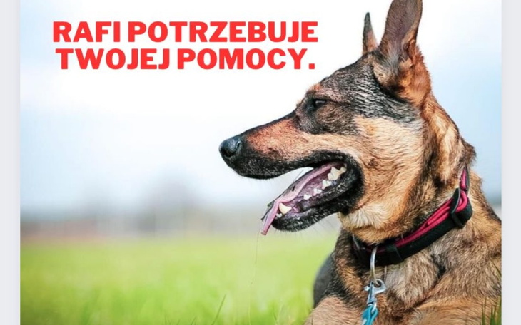 Zbiórka Pomoc dla Rafiego - zdjęcie główne