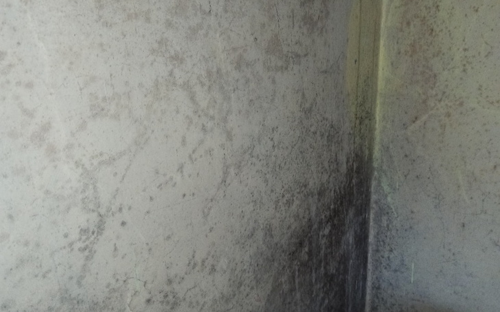 Zbiórka Mam marzenie zacząć od nowa. - zdjęcie główne