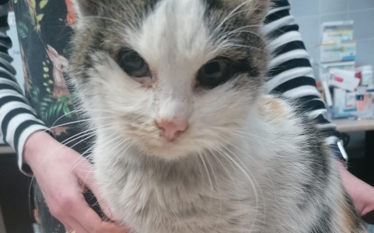 Zbiórka Pola ma guza. Uratujmy ją - zdjęcie główne