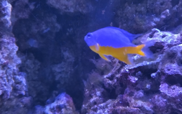 Zbiórka Biu - zdjęcie główne