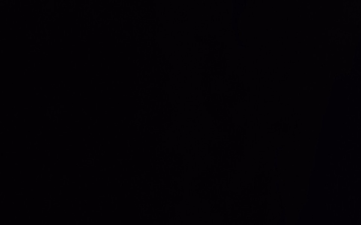 Zbiórka Kotek 690 - zdjęcie główne