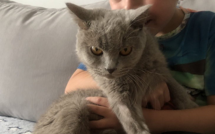 Zbiórka Leczenie Foxa zFIPa - zdjęcie główne