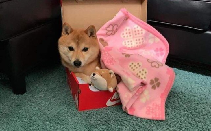 Zbiórka wymarzona wycieczka do Paryża om - zdjęcie główne