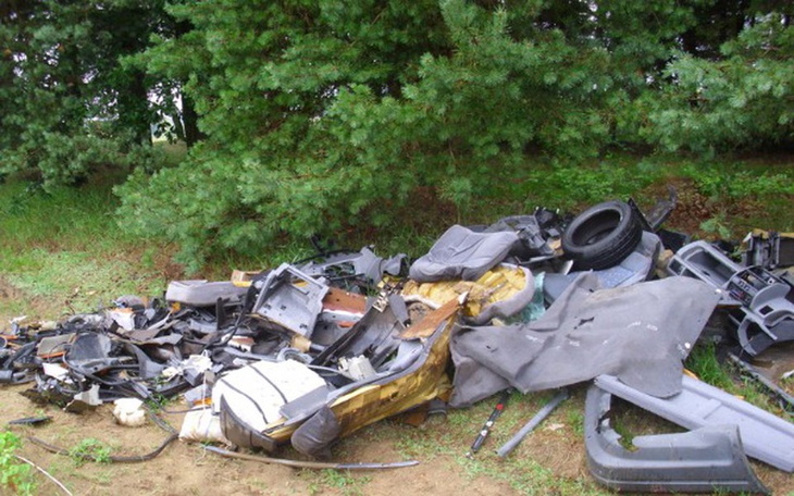 Zbiórka Sprzątanie lasów i okolicy - zdjęcie główne