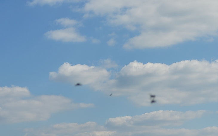 Zbiórka Długi, zaciągnęte przez rodziców - zdjęcie główne