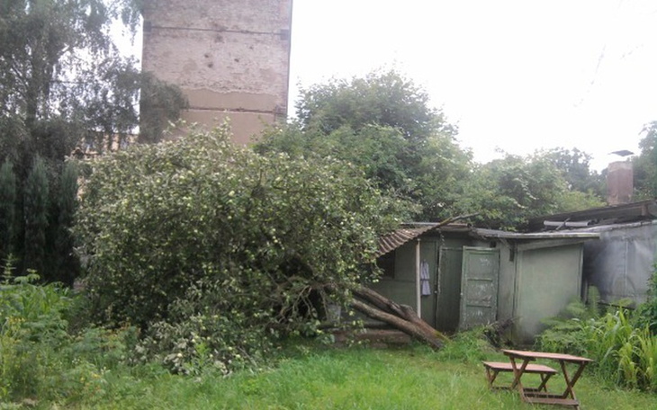 Zbiórka Domek na działkę ROD - zdjęcie główne