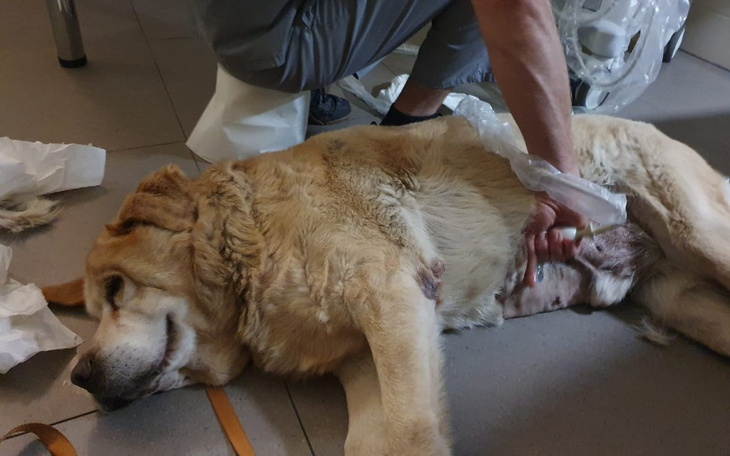 Zbiórka Staruszek Moris czeka na pomoc - zdjęcie główne