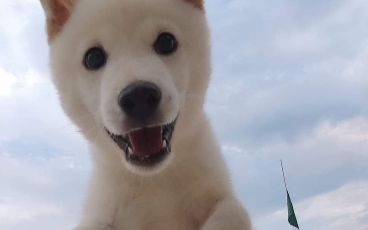 Zbiórka Na zrealizowanie diagnozy - zdjęcie główne