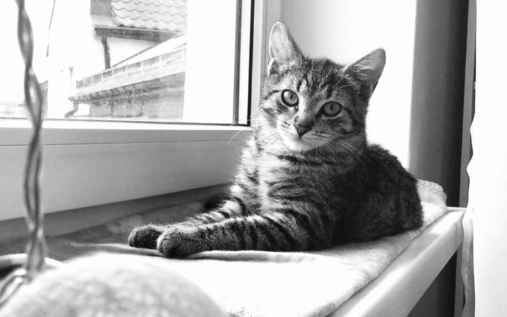 Zbiórka Help Marvel to be a superhero - zdjęcie główne