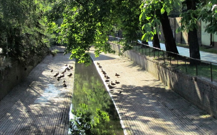 Zbiórka Tablice Informacyjne Ptak - zdjęcie główne