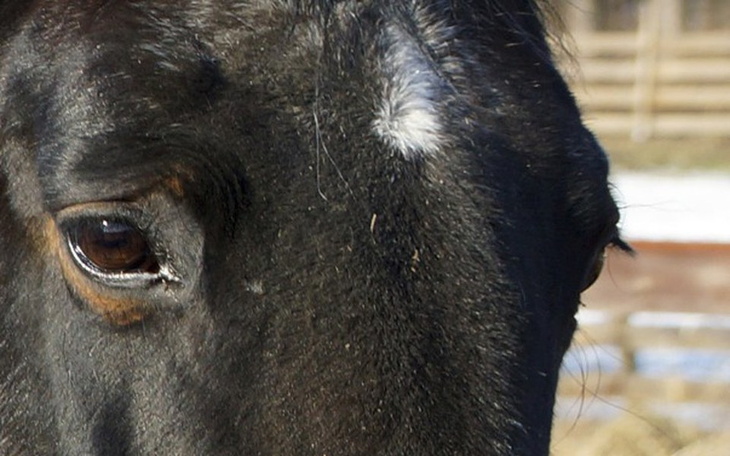 Zbiórka Nie zadajemy pytań... - zdjęcie główne