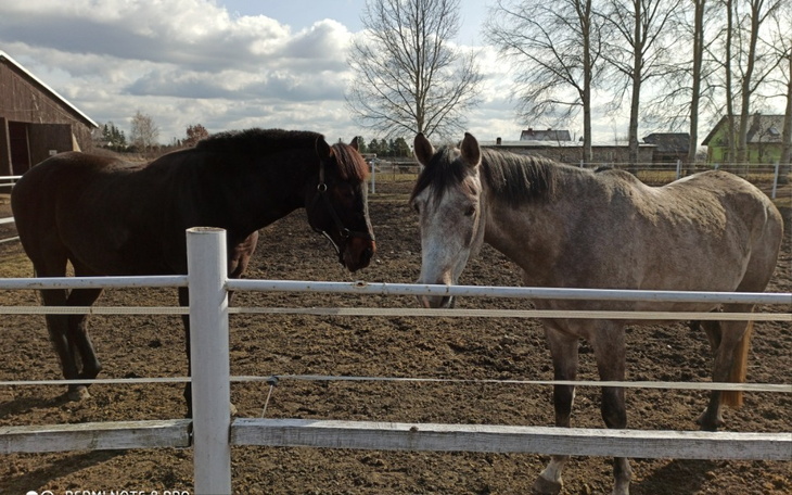 Zbiórka Na przysmaki i łakocia 3 3 3 - zdjęcie główne