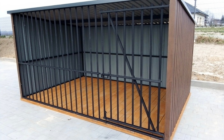 Zbiórka Schronienie dla psa - zdjęcie główne