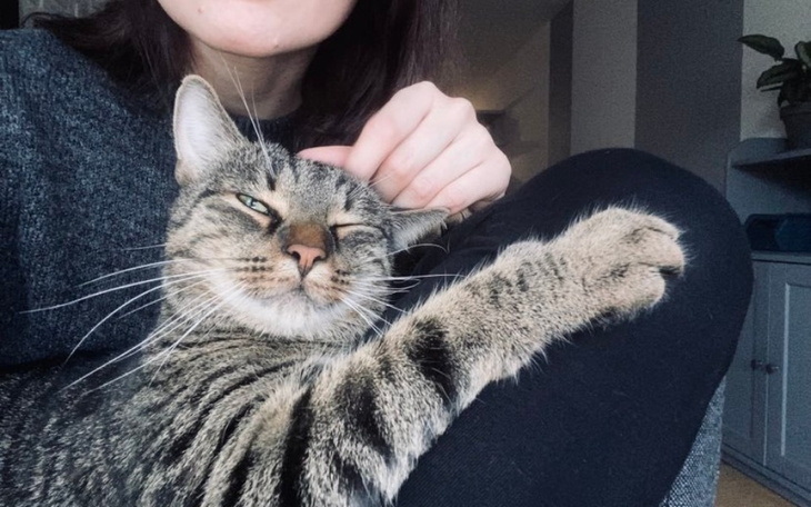 Zbiórka Bazio prosi o pilna pomoc - zdjęcie główne