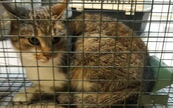 Zbiórka niech jej pani już nie przywozi - zdjęcie główne