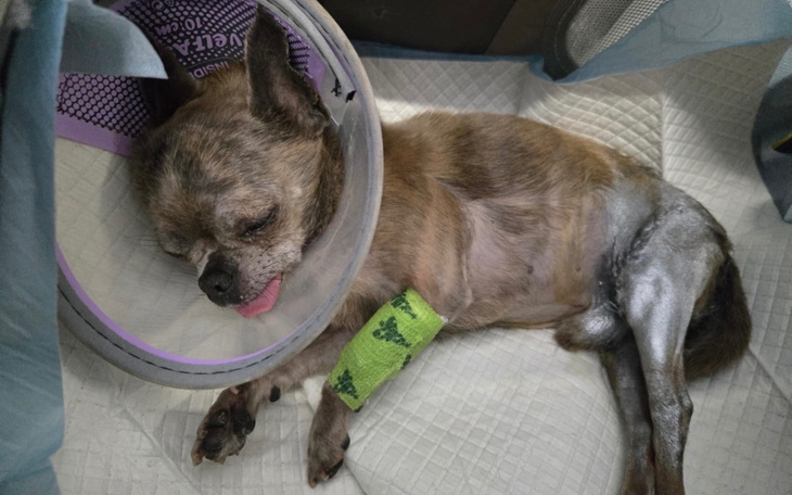 Dzieci w strojach ludowych, radosne chwile.