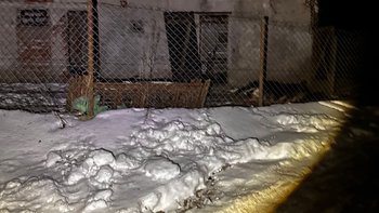 Zbiórka 3 owczarki z pustostanu bez dach - miniaturka zdjęcia