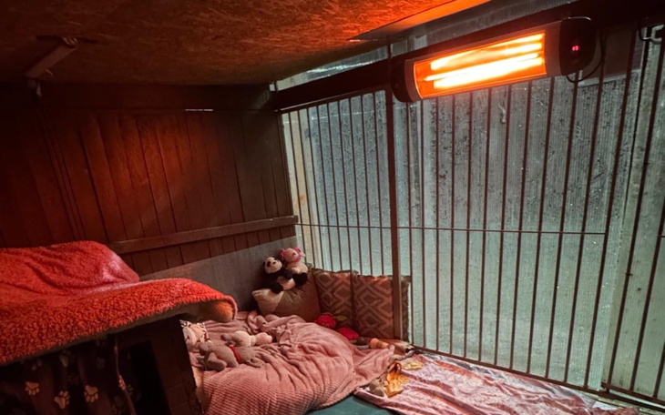 Przytulne miejsce dla zwierząt z kocami i grzejnikami.