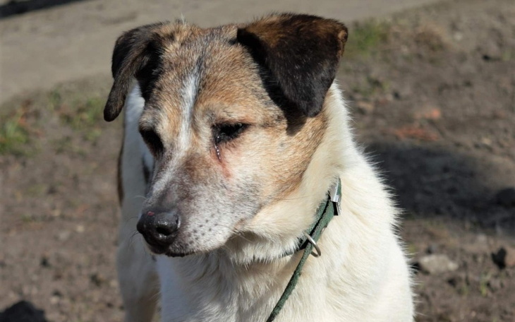 Zbiórka Bazyl. 13 lat w Wojtyszkach. - zdjęcie główne