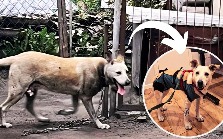 Zbiórka Ofiara nie-ludzkiej obojętności - zdjęcie główne