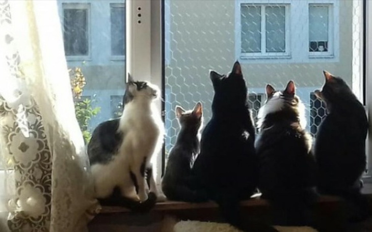 Zbiórka potrzebujemy wsparcia 😦 - zdjęcie główne