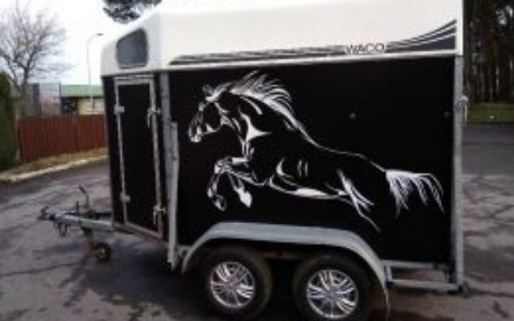 Zbiórka Bukmanka - Pandora - zdjęcie główne